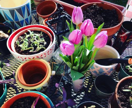 13092348_1130023940383745_438860445_n