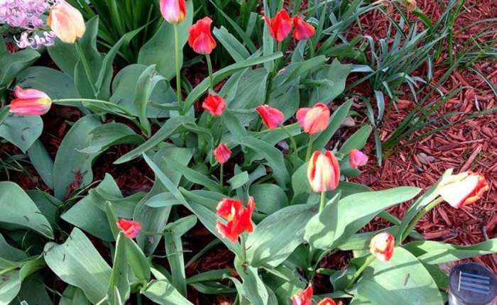 You Are Here: Spring to Spring Side B